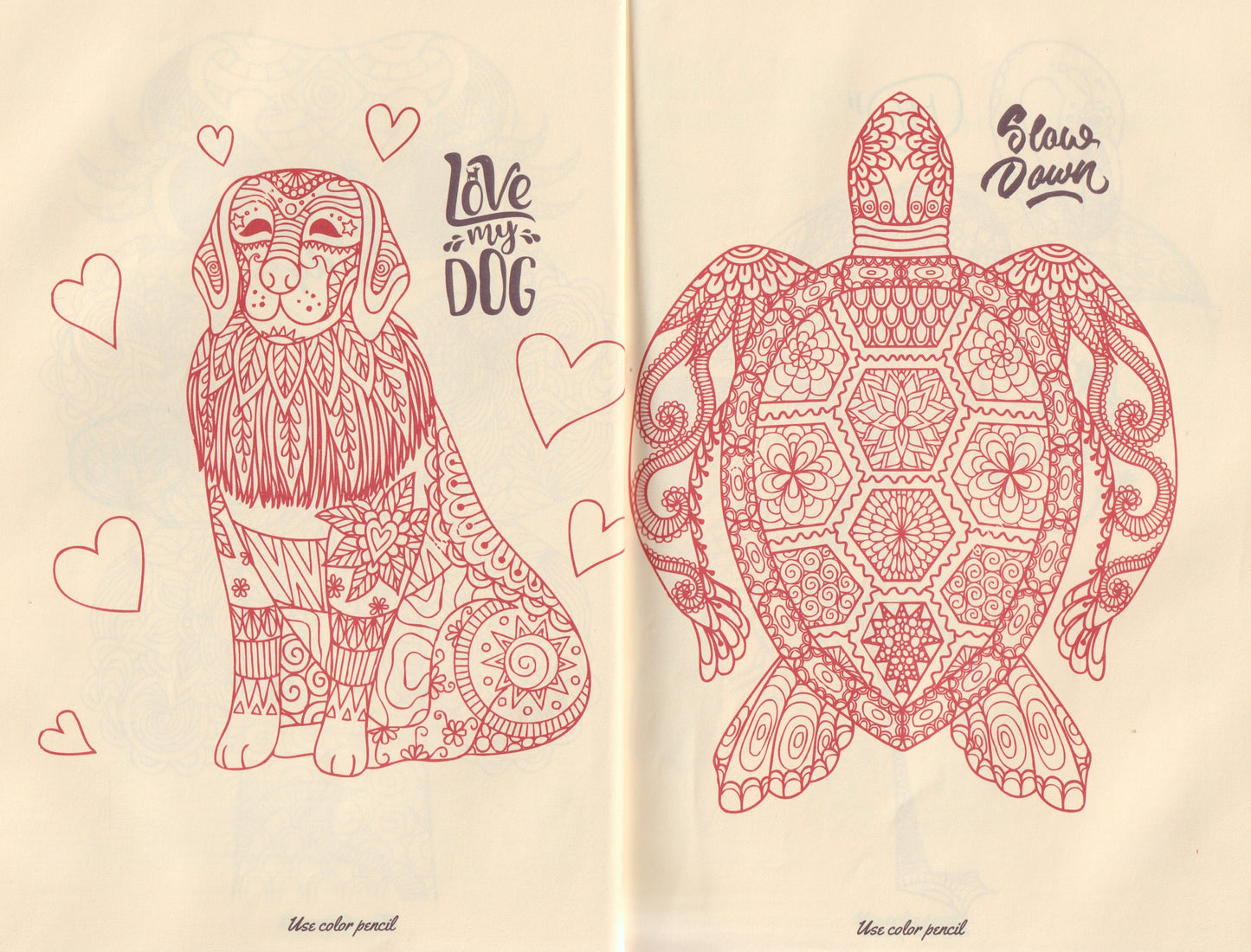 Notebook Love is in the air دفتر نوتة